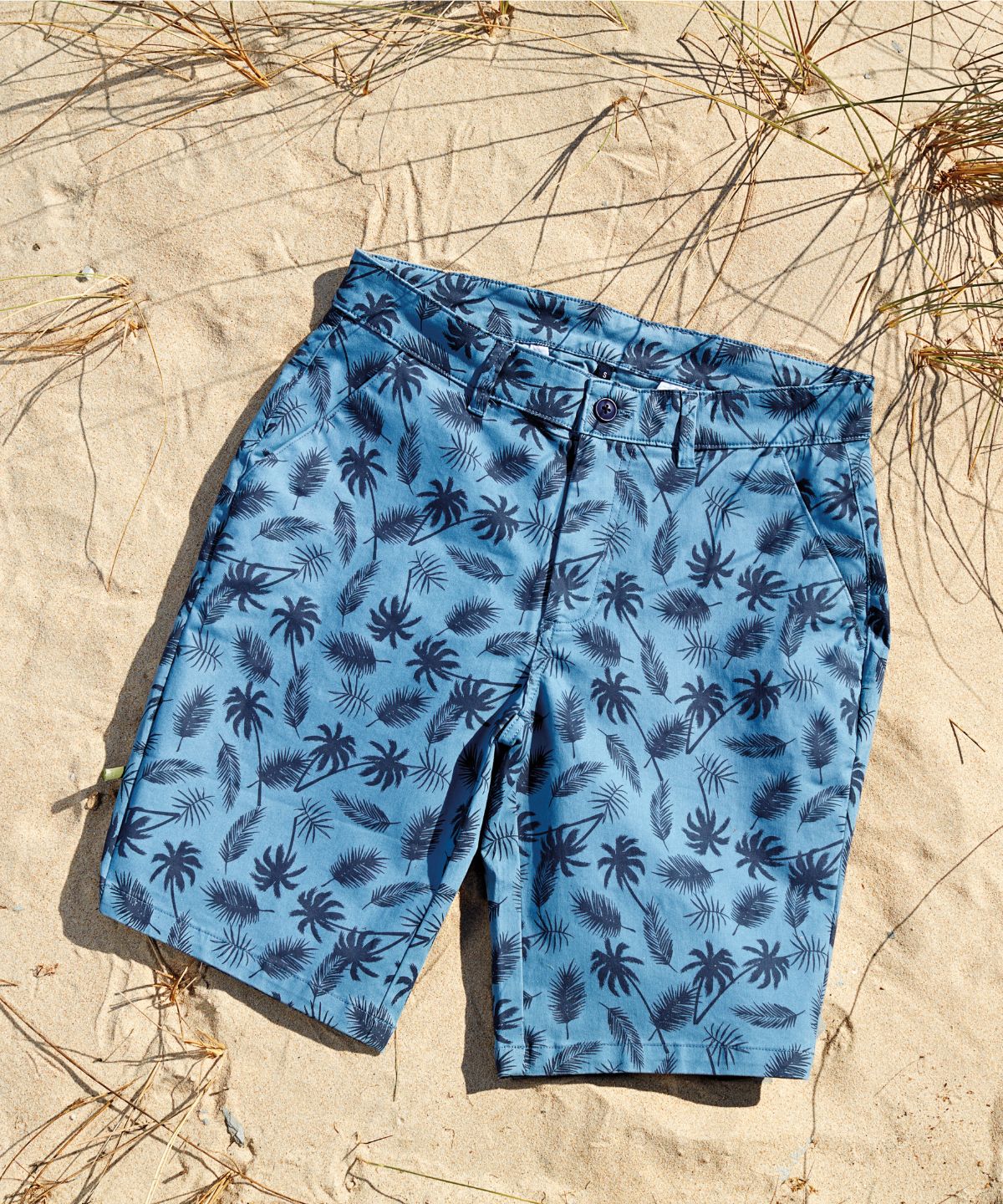 WB905 Men’s Palm Print Shorts